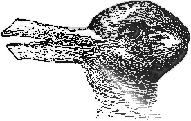 plaatje rabbit/duck